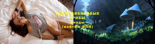 молекула духа Аркадак