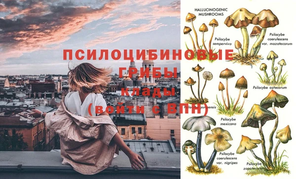 молекула духа Аркадак