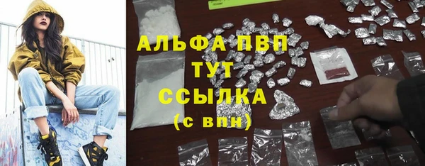 прущие крисы Алзамай