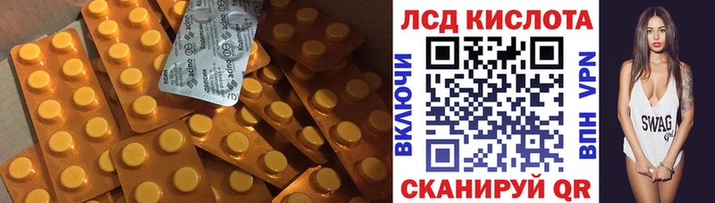 где купить наркоту Курчалой Лсд 25 экстази ecstasy